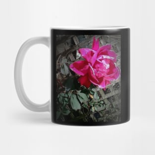 Rose Mug